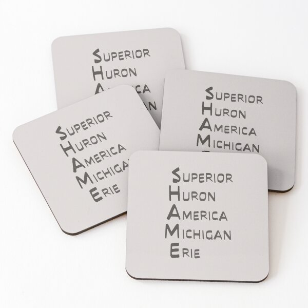 Item preview, Shame Great Lakes Name List Lake America   designed and sold by TackyTime.