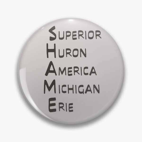 Item preview, Shame Great Lakes Name List Lake America   designed and sold by TackyTime.
