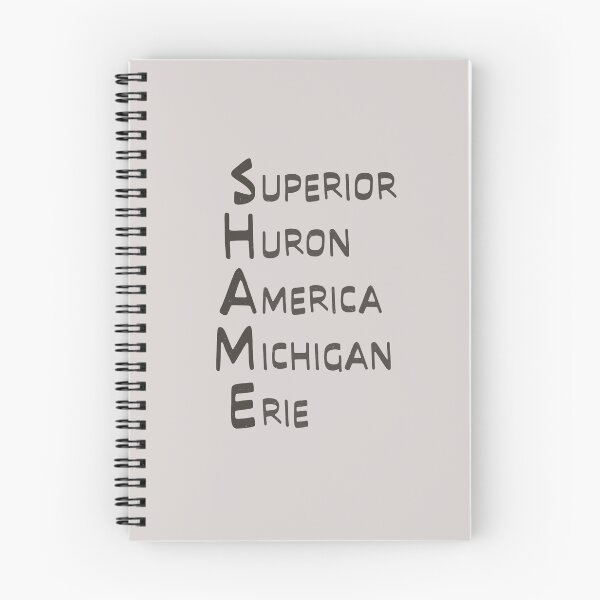 Item preview, Shame Great Lakes Name List Lake America   designed and sold by TackyTime.