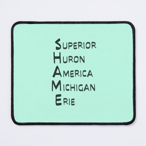 Item preview, Shame Great Lakes Name List Lake America designed and sold by TackyTime.