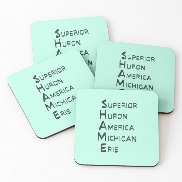 Item preview, Shame Great Lakes Name List Lake America   designed and sold by TackyTime.