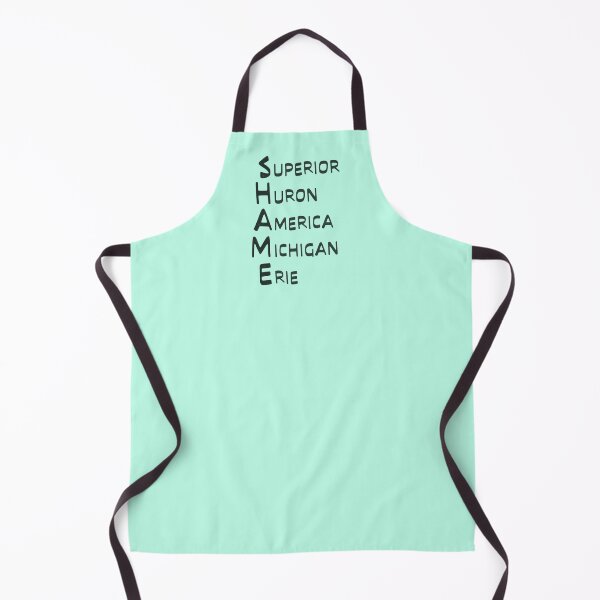 Item preview, Shame Great Lakes Name List Lake America   designed and sold by TackyTime.