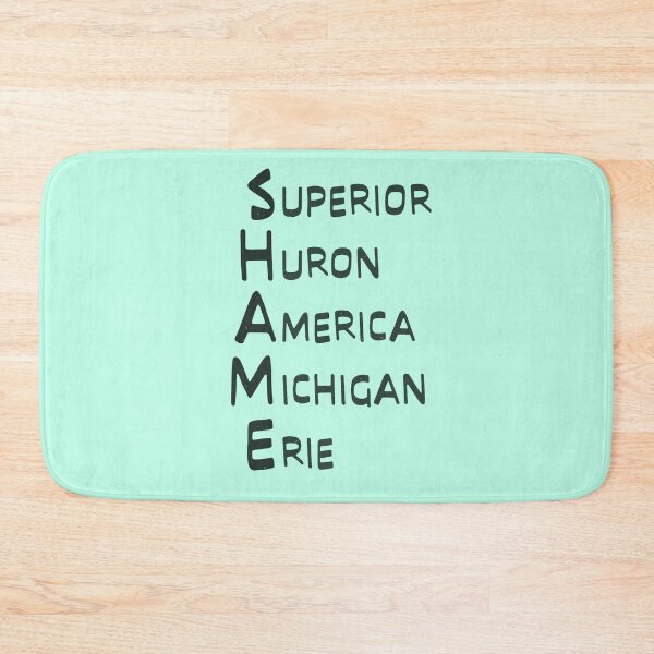 Item preview, Shame Great Lakes Name List Lake America   designed and sold by TackyTime.