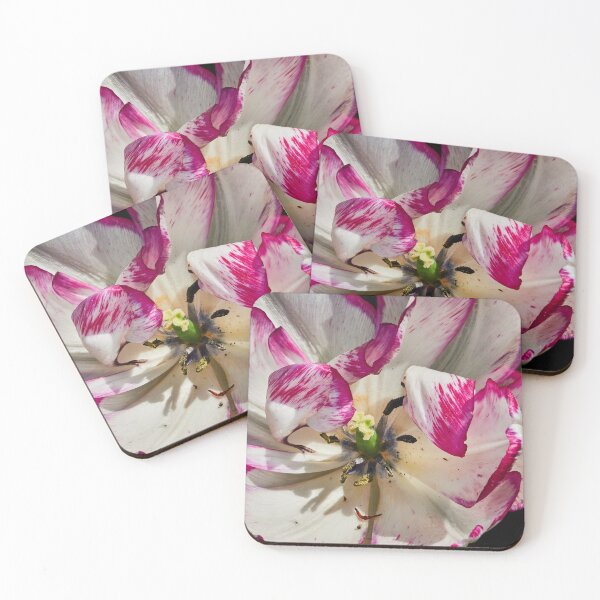 Item preview, Coy Tulip designed and sold by Eidetic Photos.