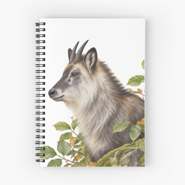 Item preview, Japanese serow in Kyoto Digital Watercolour designed and sold by FurusatoGallery.