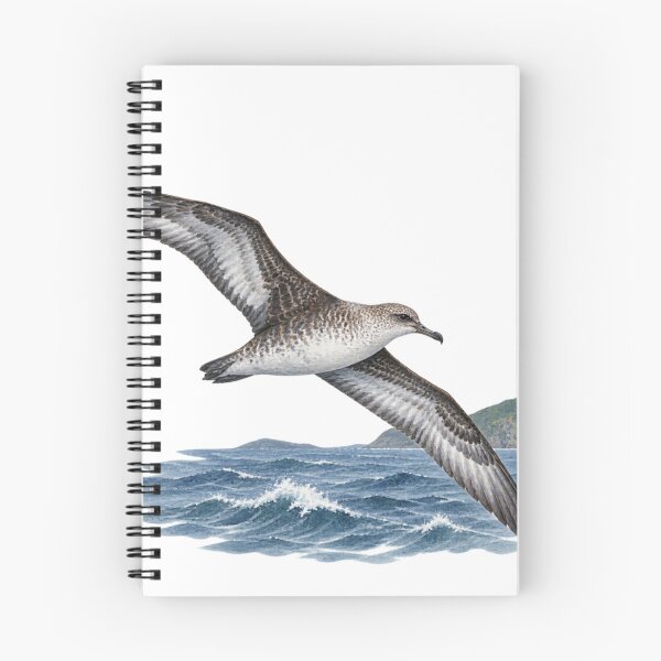 Item preview, Streaked shearwater in Kyoto Digital Watercolour designed and sold by FurusatoGallery.