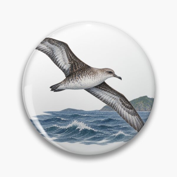 Item preview, Streaked shearwater in Kyoto Digital Watercolour designed and sold by FurusatoGallery.