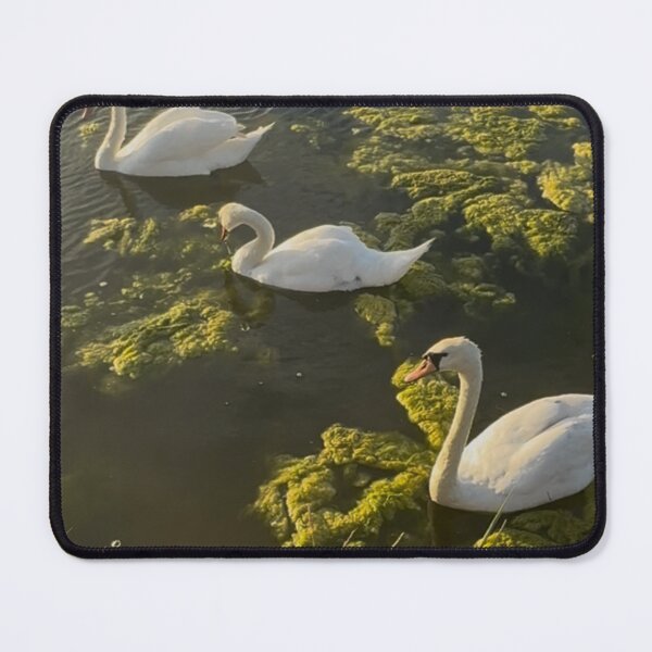 Item preview, Waterloo swans designed and sold by envycollection.