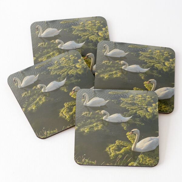 Item preview, Waterloo swans designed and sold by envycollection.