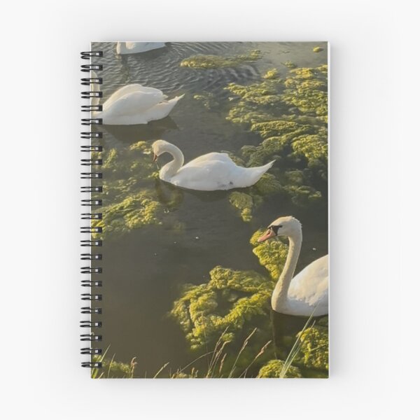 Item preview, Waterloo swans designed and sold by envycollection.