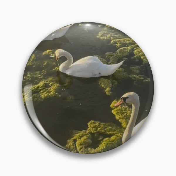 Item preview, Waterloo swans designed and sold by envycollection.