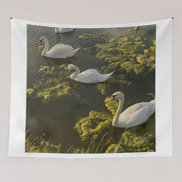 Item preview, cisnes de Waterloo designed and sold by envycollection.