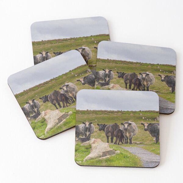 Item preview, Meet the Locals, Islay designed and sold by Kasia Design.