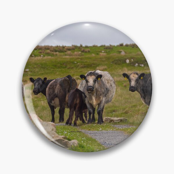 Item preview, Meet the Locals, Islay designed and sold by Kasia Design.