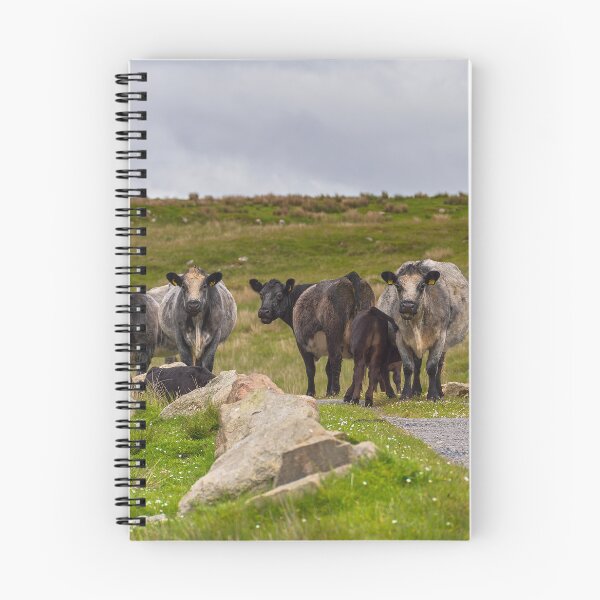 Item preview, Meet the Locals, Islay designed and sold by Kasia Design.