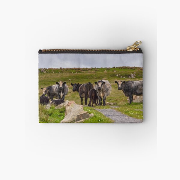 Item preview, Meet the Locals, Islay designed and sold by Kasia Design.