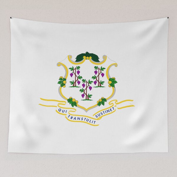 Item preview, Connecticut State Seal CT designed and sold by shitpostee.