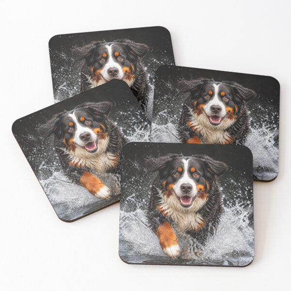 Item preview, Majestic Bernese Mountain Dog Splashing designed and sold by Wags & Tails.