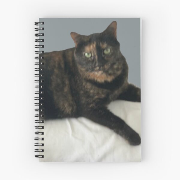 Item preview, Tortie on a Cushion  designed and sold by Amanda1775.