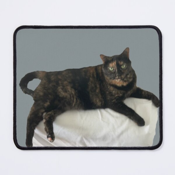 Item preview, Tortie on a Cushion  designed and sold by Amanda1775.
