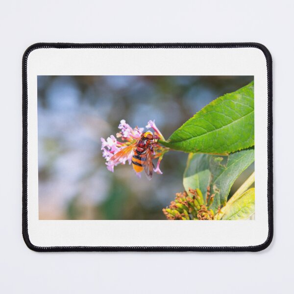 Item preview, Mimic hornet hoverfly designed and sold by mohawkphotography.