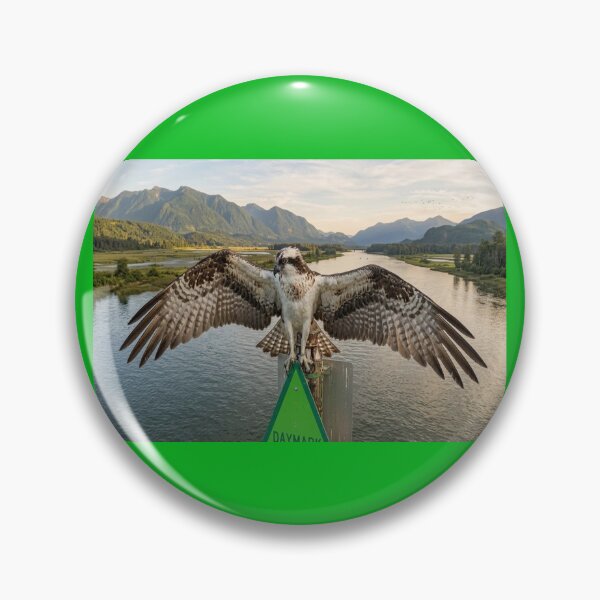 Item preview, Osprey settling in designed and sold by GAWPAWshop.