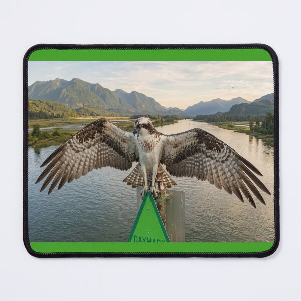 Item preview, Osprey settling in designed and sold by GAWPAWshop.