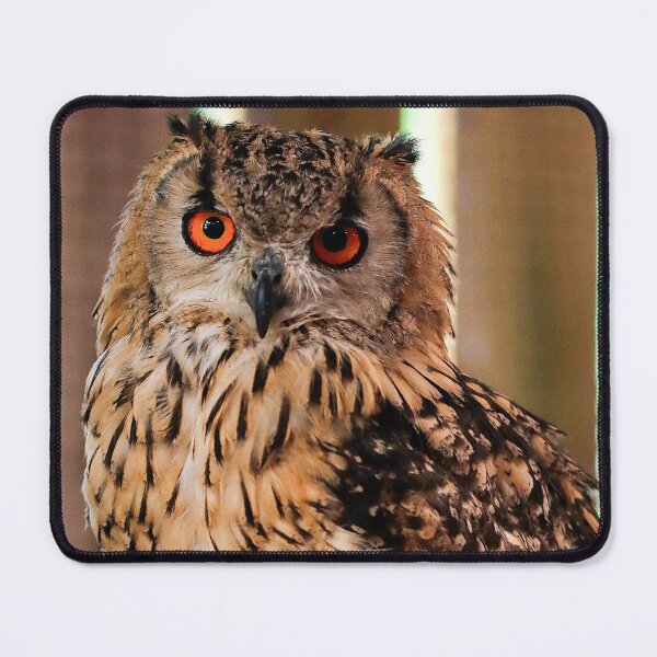Item preview, Having a hoot designed and sold by mohawkphotography.
