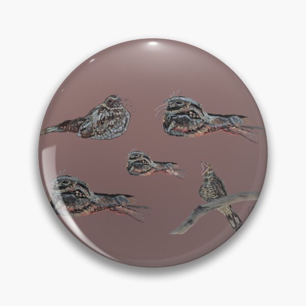 Item preview, Nightjar Print: Acrylic Painted designed and sold by Charlotte's Shop of Bird Stuff.