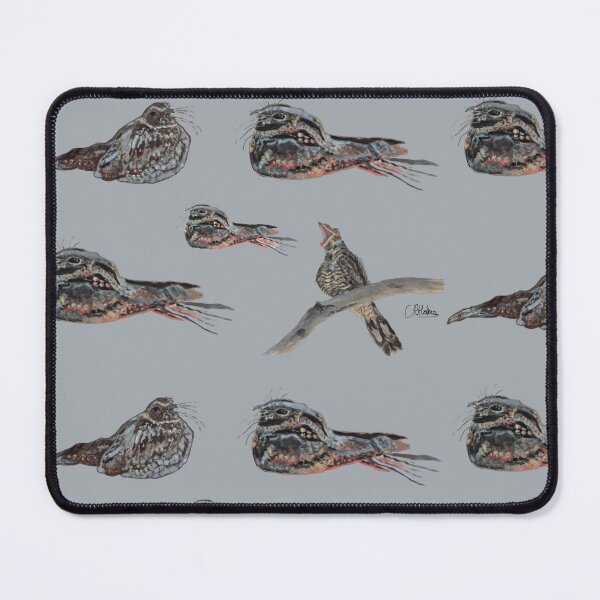 Item preview, Nightjar Print: Acrylic Painted designed and sold by Charlotte's Shop of Bird Stuff.