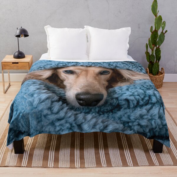 Item preview, Afghan Hound in Blanket 01 designed and sold by Elisabeth Lucas.