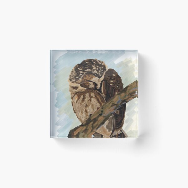 Item preview, Cozy owl designed and sold by AlnyOcean.