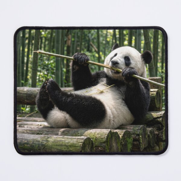 Item preview, Panda Bear Enjoying a Bamboo Stick designed and sold by Maria Dryfhout.