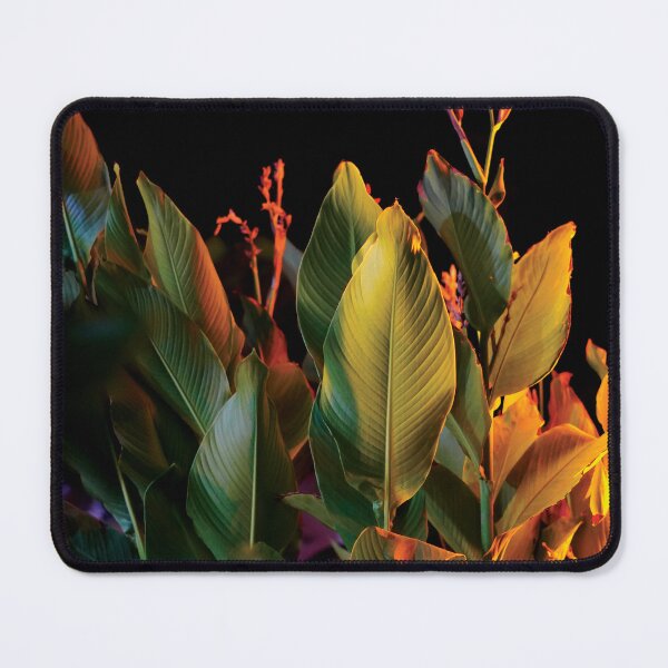 Artikelvorschau, Natur, Pflanze, Blatt, Vegetation entworfen und verkauft von citravisuel.