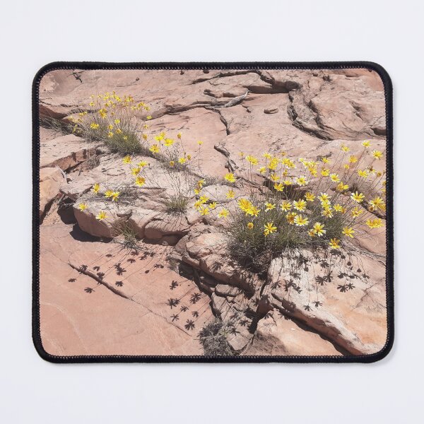 Item preview, Desert Flowers designed and sold by Highest Good.