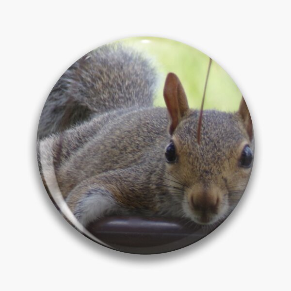 Item preview, Southern Squirrel Comfort designed and sold by SquaresArt.