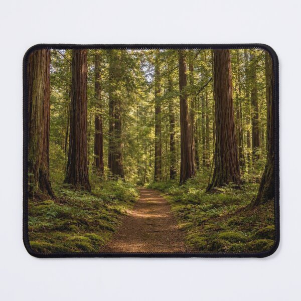 Item preview, Enchanted Forest Digital Art Print | Woodland Nature Wall Art | Printable Forest Decor designed and sold by Everleaf Studio.