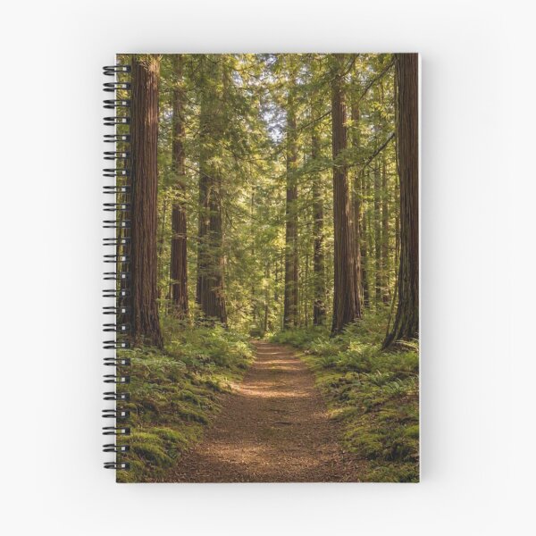 Item preview, Enchanted Forest Digital Art Print | Woodland Nature Wall Art | Printable Forest Decor designed and sold by Everleaf Studio.