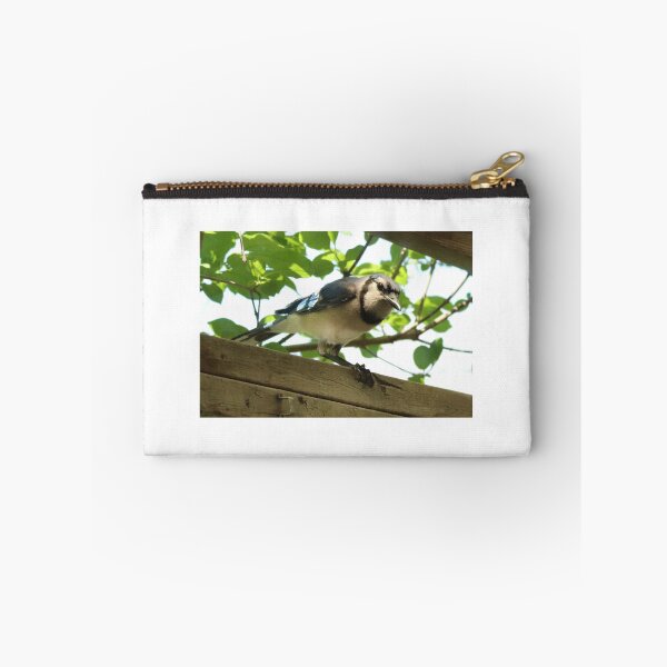 Item preview, A Visiting Blue Jay designed and sold by Judy Geller.