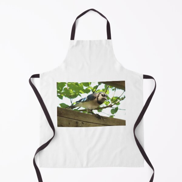 Item preview, A Visiting Blue Jay designed and sold by Judy Geller.
