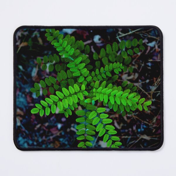 Artikelvorschau, Pflanze, Natur, Wald, Vegetation entworfen und verkauft von citravisuel.