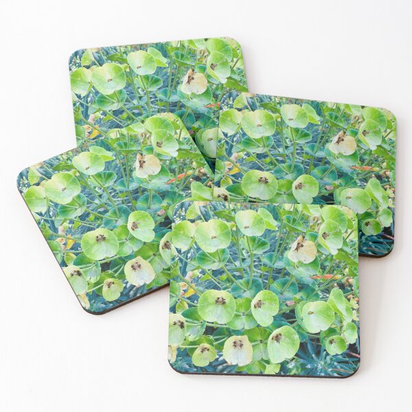 Item preview, Vibrant Green Mediterranean Spurge Blooms designed and sold by BalkanBloomArt.