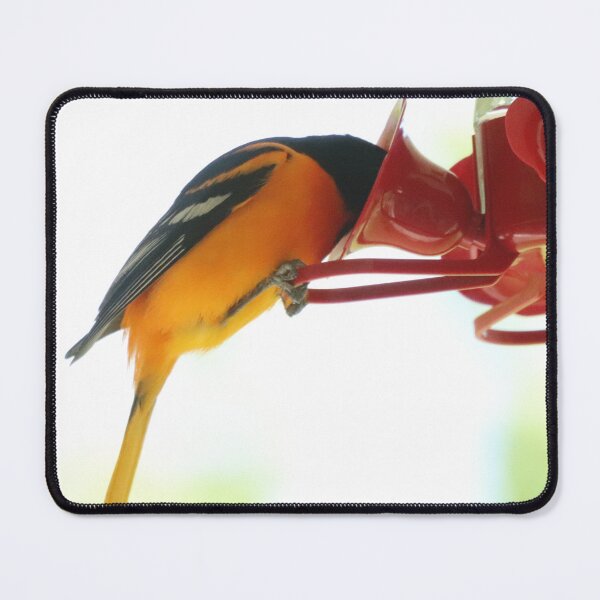 Item preview, I've Completely Lost My Head!! designed and sold by Judy Geller.