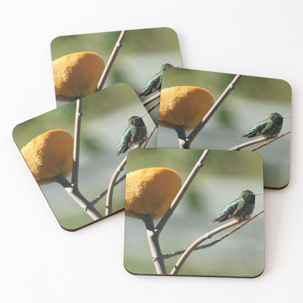 Item preview, Hummingbird Protecting Orange From Predators! designed and sold by Judy Geller.