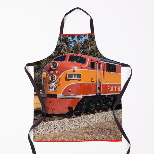 Item preview, The Shsta Daylight designed and sold by Trains-and-Rail.
