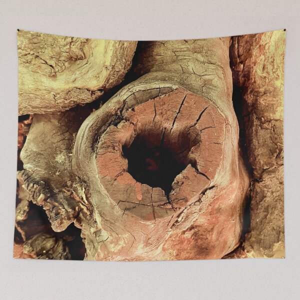 Item preview, Tree, nature, branch designed and sold by citravisuel.