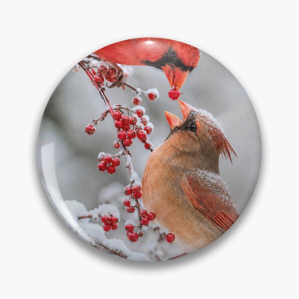 Item preview, Cardinal Sharing a Red Winter Berry designed and sold by Maria Dryfhout.