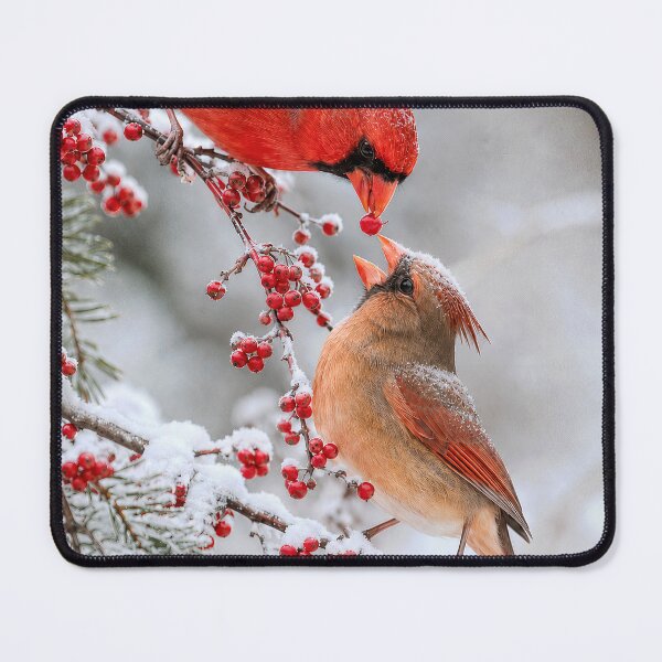Item preview, Cardinal Sharing a Red Winter Berry designed and sold by Maria Dryfhout.
