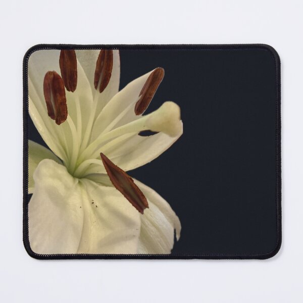 Item preview, White Lily Bloom Cutout designed and sold by BalkanBloomArt.