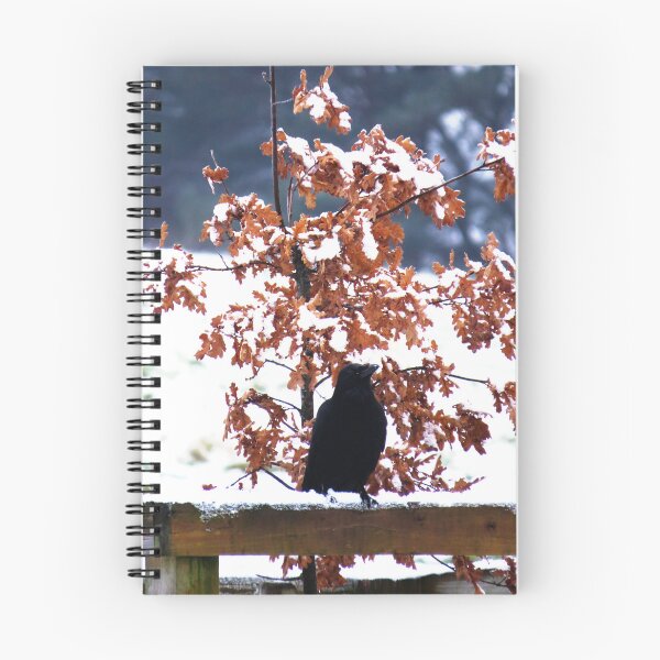 Item preview, Raven and Snowy Tree - Photo designed and sold by GenAumonier.